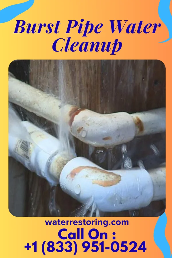 Burst Pipe Water Cleanup in Flatwoods, WV