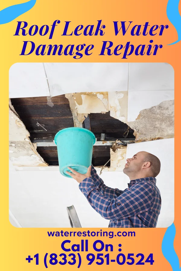Roof Leak Water Damage Repair in Flatwoods, WV