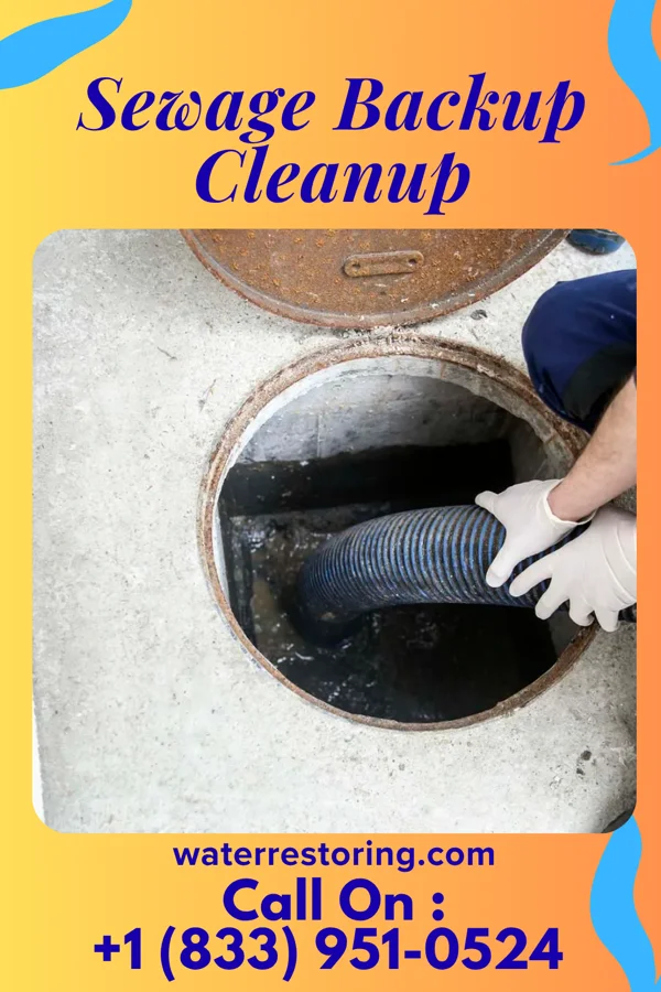 Sewage Backup Cleanup in Flatwoods, WV