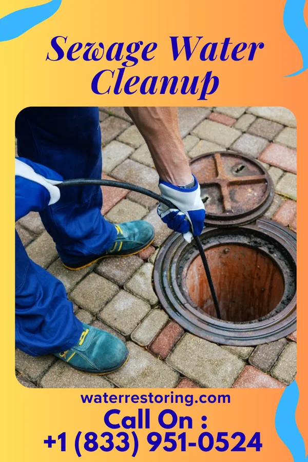 Sewage Water Cleanup in Flatwoods, WV