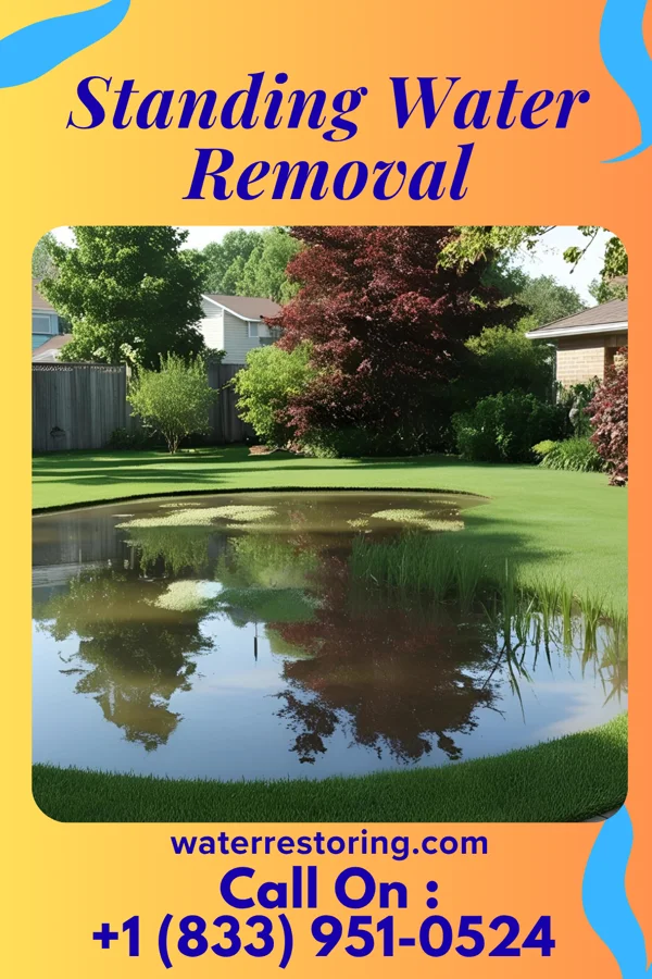 Standing Water Removal in Flatwoods, WV
